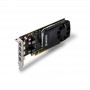 PNY VCQP1000DVIV2-PB scheda video NVIDIA Quadro P1000 V2 4 GB GDDR5 (VCQP1000DVIV2-PB)