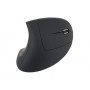 Equip 245110 mouse Mano destra RF Wireless Ottico 1600 DPI (245110)