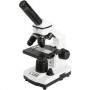 Celestron LABS CM800 800x Microscopio ottico (CM44128)