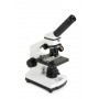 Celestron LABS CM800 800x Microscopio ottico (CM44128)