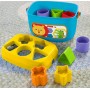 Fisher-Price Blocchi Assortiti (FFC84)