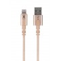 Xtorm CX2013 cavo per cellulare Oro 1 m Lightning USB A (CX2013)