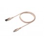 Xtorm CX2013 cavo per cellulare Oro 1 m Lightning USB A (CX2013)