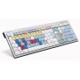 Logickeyboard Steinberg Cubase Nuendo tastiera USB QWERTY Inglese UK Multicolore (LKB-CBASE-AJPU-UK)