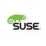 Suse Manager Monitoring, x86 & x86-64, 3Y Base 1 licenza/e 3 anno/i (874-006839)