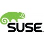 Suse Linux Enterprise Desktop, 3Y Client Access License (CAL) 1 licenza/e 3 anno/i (874-006871)