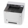 KYOCERA ECOSYS P5026cdw A colori 9600 x 600 DPI A4 Wi-Fi (1102RB3NL0)