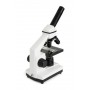 Celestron LABS CM800 800x Microscopio ottico (CM44128)