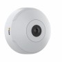 Axis M3067-P Telecamera di sicurezza IP Interno Cupola 2560 x 1920 Pixel Soffitto/muro (01731-001)