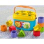 Fisher-Price Blocchi Assortiti (FFC84)