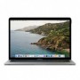 Belkin Screenforce Protezione dello schermo del notebook (OVA013ZZ)