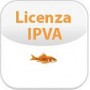 IPVA LICENSE (02-00043-002)