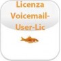 VOICEMAIL USERLICENSE (02-00041-004)