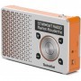 TechniSat DigitRadio 1 Portatile Digitale Arancione, Argento (0003/4997)