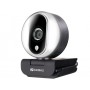 Sandberg 134-12 webcam 2 MP 1920 x 1080 Pixel USB 2.0 Nero, Argento (134-12)