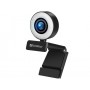 Sandberg 134-21 webcam 2 MP 1920 x 1080 Pixel USB 2.0 Nero (134-21)