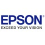 Epson 7112744 licenza per software/aggiornamento 100 licenza/e (7112744)