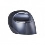 BakkerElkhuizen BNEEVRDW mouse Mano destra RF Wireless 3200 DPI (BNEEVRDW)